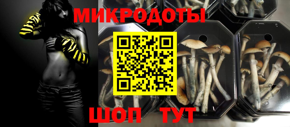 Краснотурьинск  Галлюциногенные грибы прущие грибы  Вход с VPN 